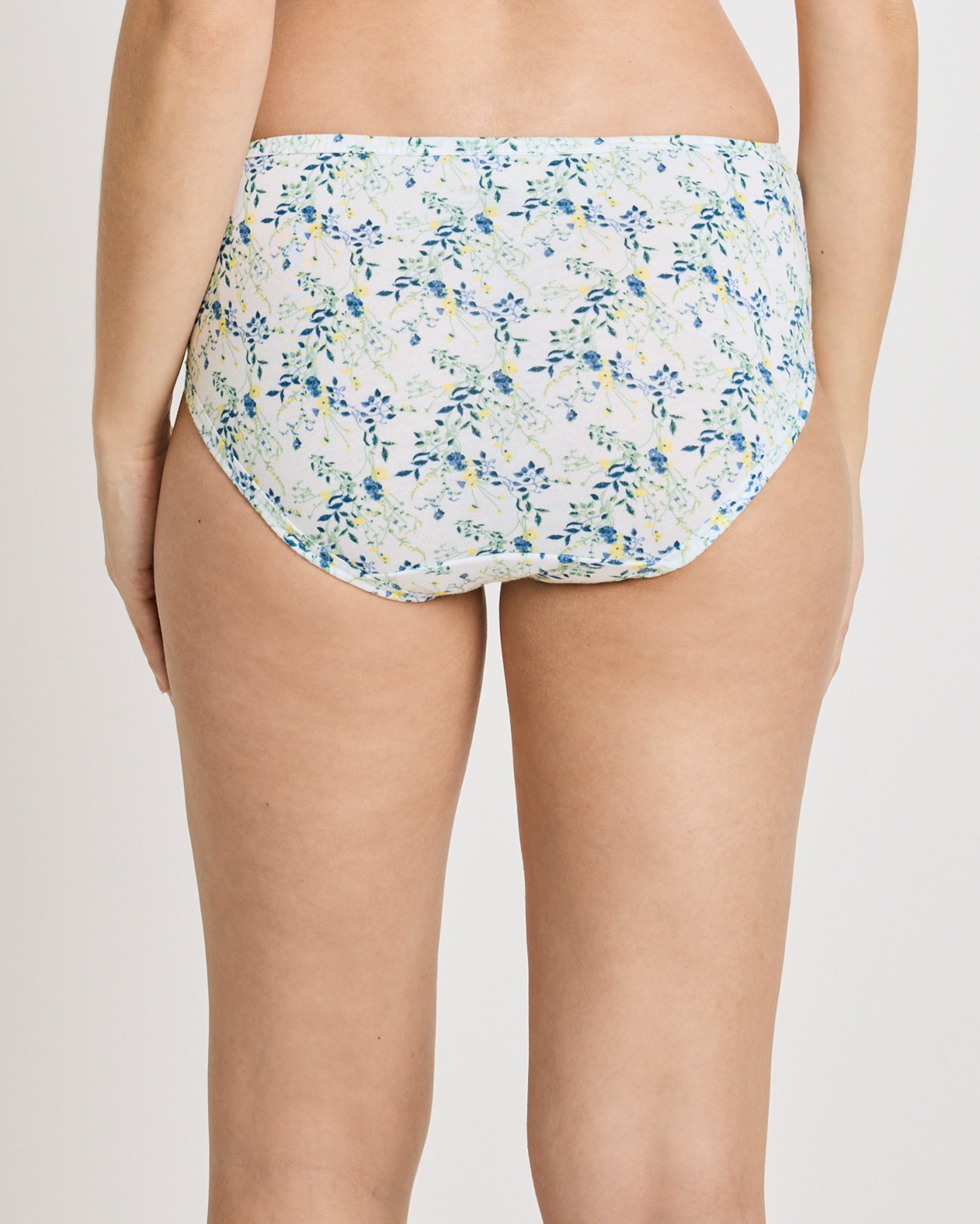 Plus Size Elance Hipster - 3 Pack