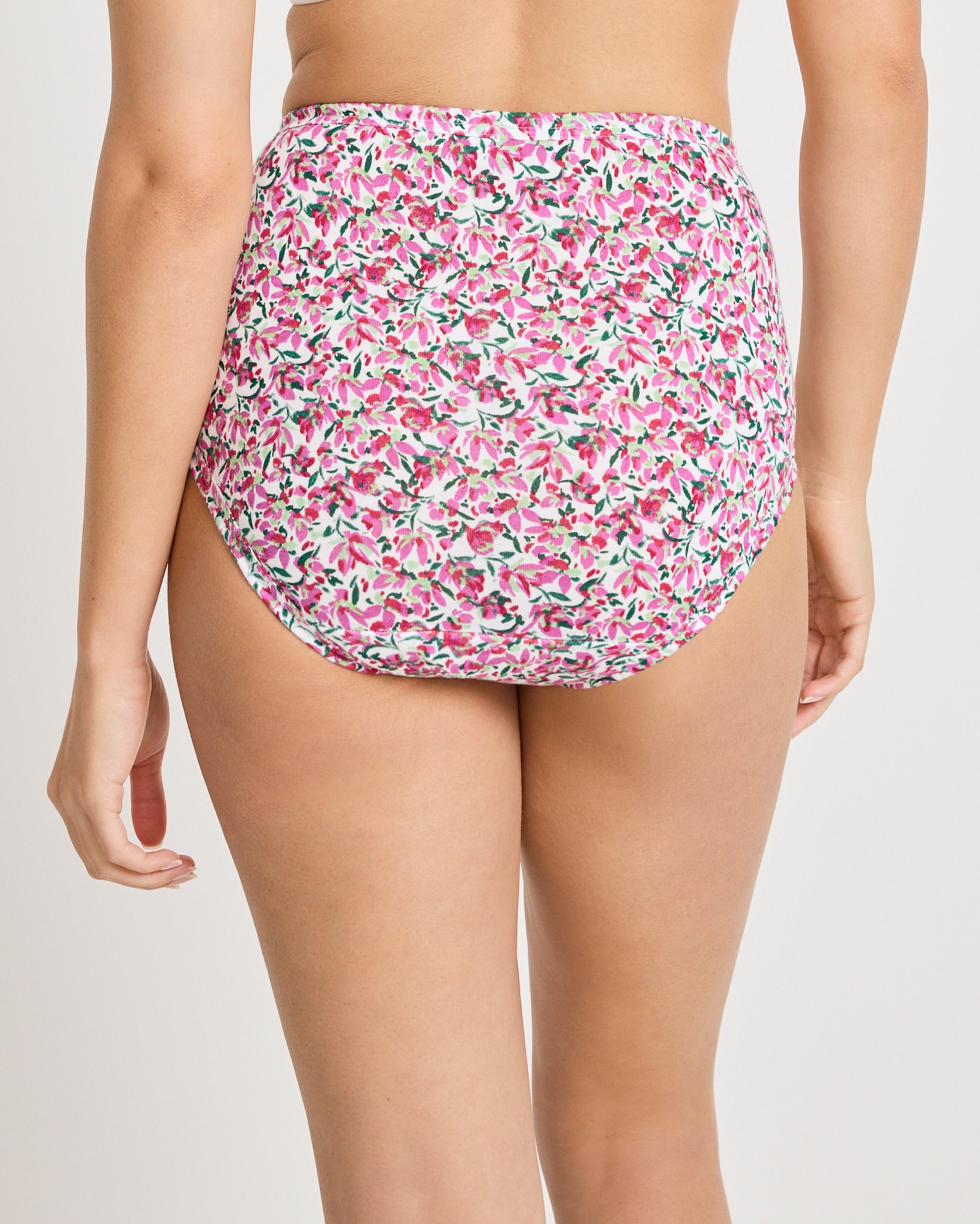 Elance Brief - 3 Pack