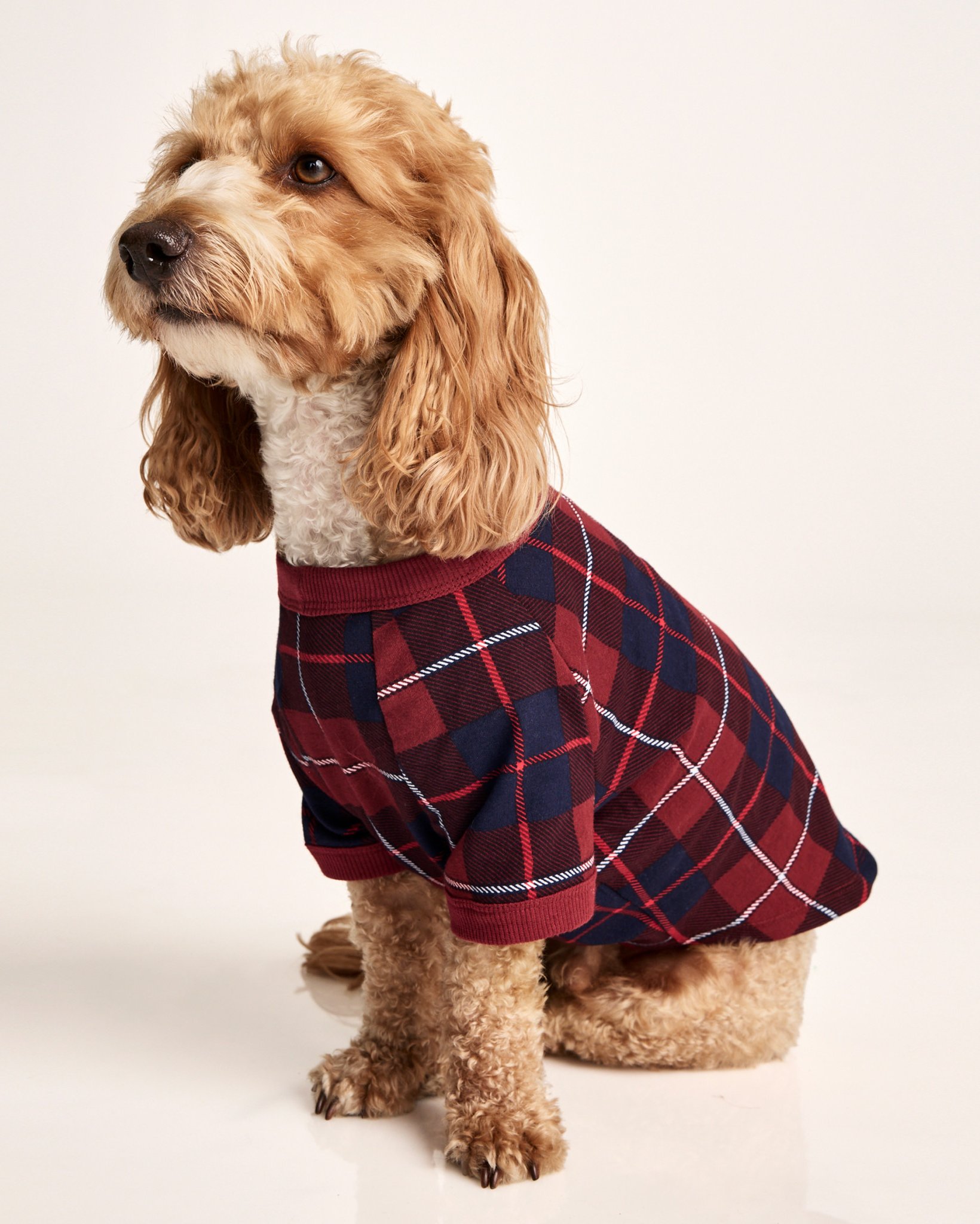 Fam Jams Pet Pajamas