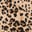 iconic cheetah