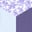 midnight iris/bouquet bloom/frothy blue