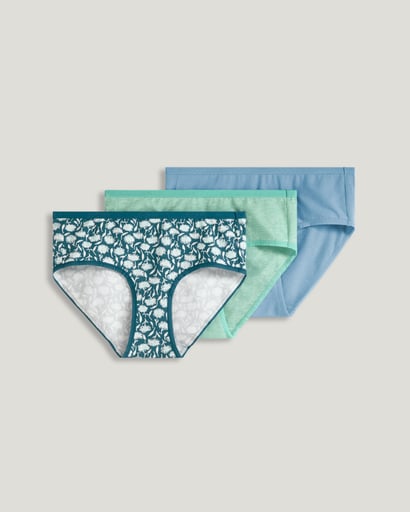 Seamfree Comfort Waist Hipster