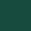 dark fern