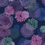 faded mums
