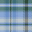 field day plaid