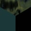 black spruce