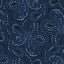 paisley stars