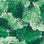 vivid foliage