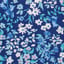 painted flower garden