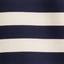 1876 stripe